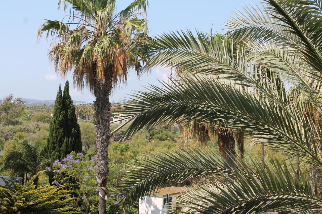 New View Marina - Jungla Del Loro